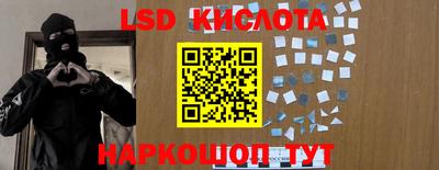 крисы Аргун