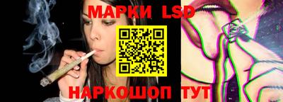 крисы Аргун