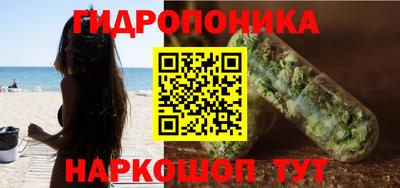 шишки Гусев