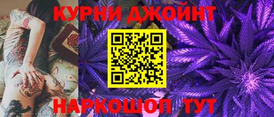 прущие грибы Гусиноозёрск
